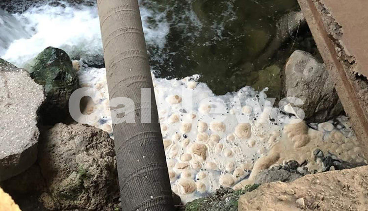 Ambiente Liquami Del Depuratore Di Fuscaldo Finiscono In Mare